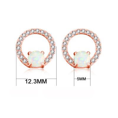 Circle Silver Studs Earrings 